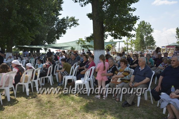 alexandriamou.gr_trikala28.5.2018071